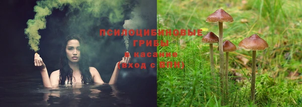 ешки Арсеньев