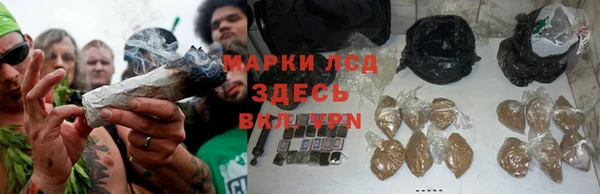 молекула духа Аркадак