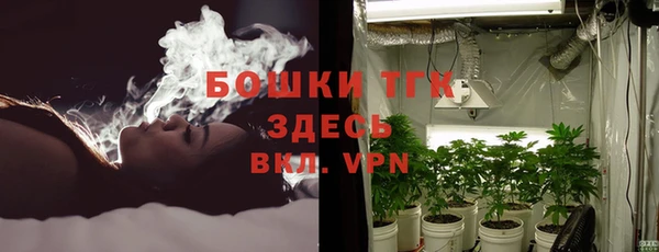 ешки Арсеньев
