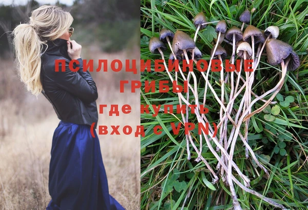ECSTASY Армянск