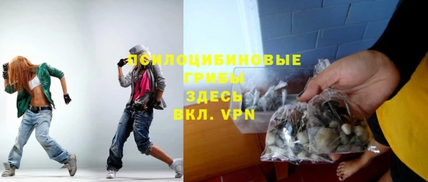 ешки Арсеньев