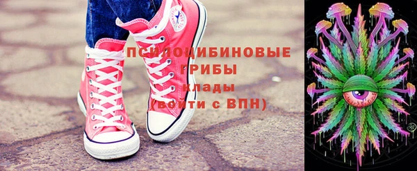 молекула духа Аркадак