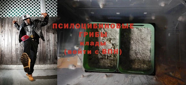 ешки Арсеньев
